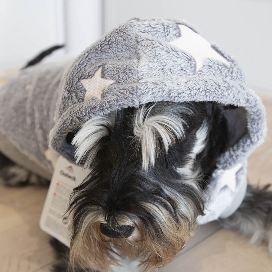 Outech Fleece Camisola Cinza com Estampa de Estrelas para c&atilde;es, , large Imagem n&uacute;mero 3